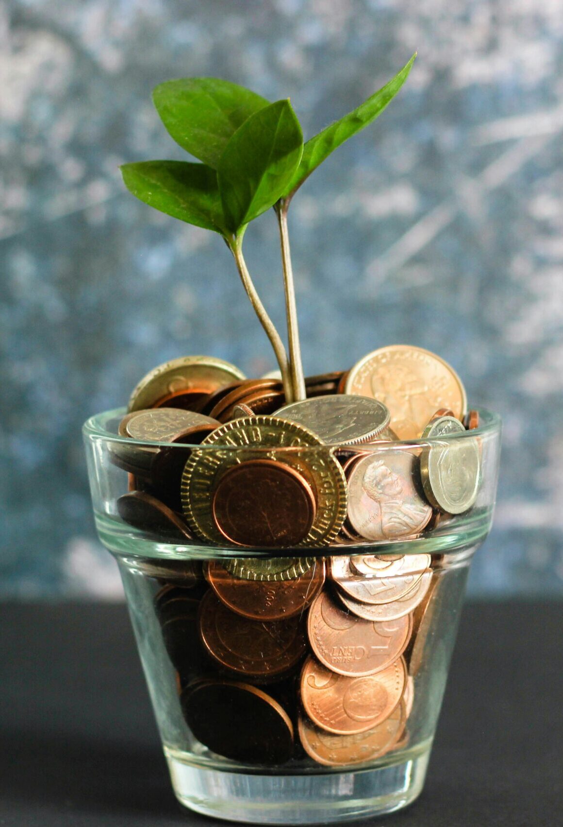 plant on money